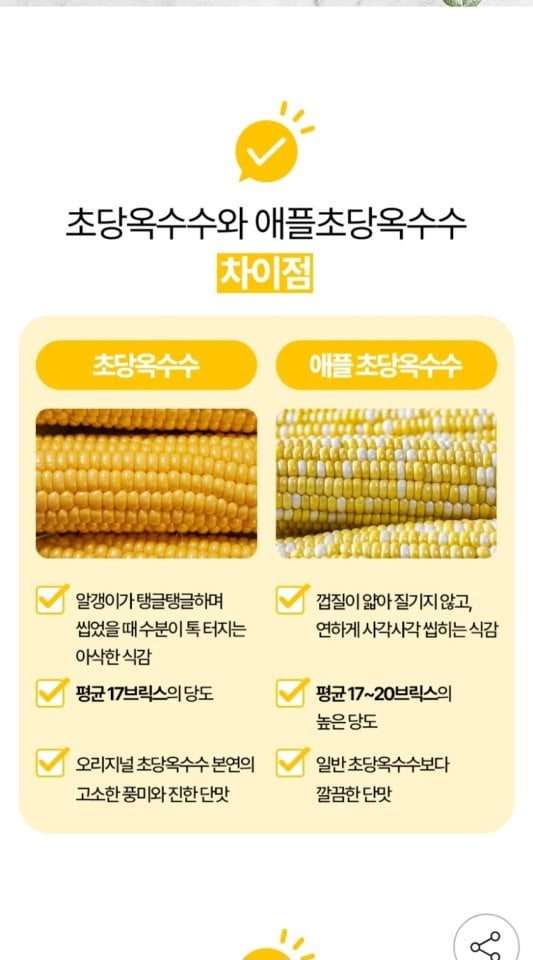 1000048.jpg [지마켓] 국내산 햇 애플 초당옥수수 특품 10입 15-20cm (유클18,170원) (무료)