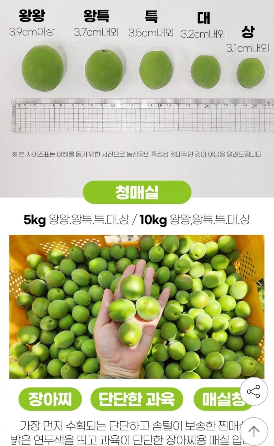20260605092626_Ym0telpnow.jpg