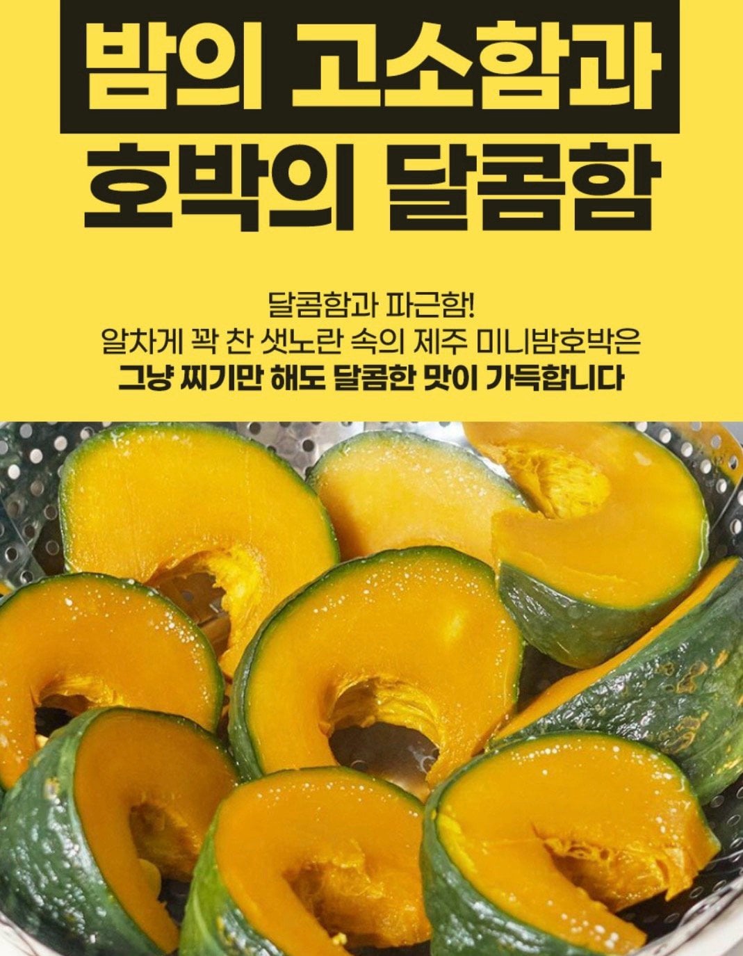 [롯데온] 제주 햇 미니 단호박 보우짱 3kg (11,960원) (무료)