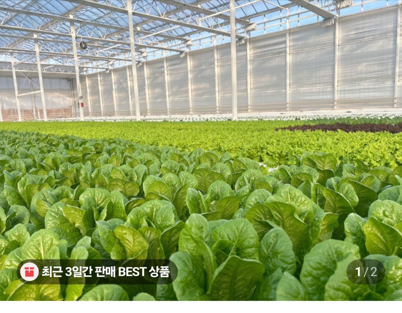 1000054703.jpg [네이버] 유러피안 샐러드 1kg (5,900원) (무료)