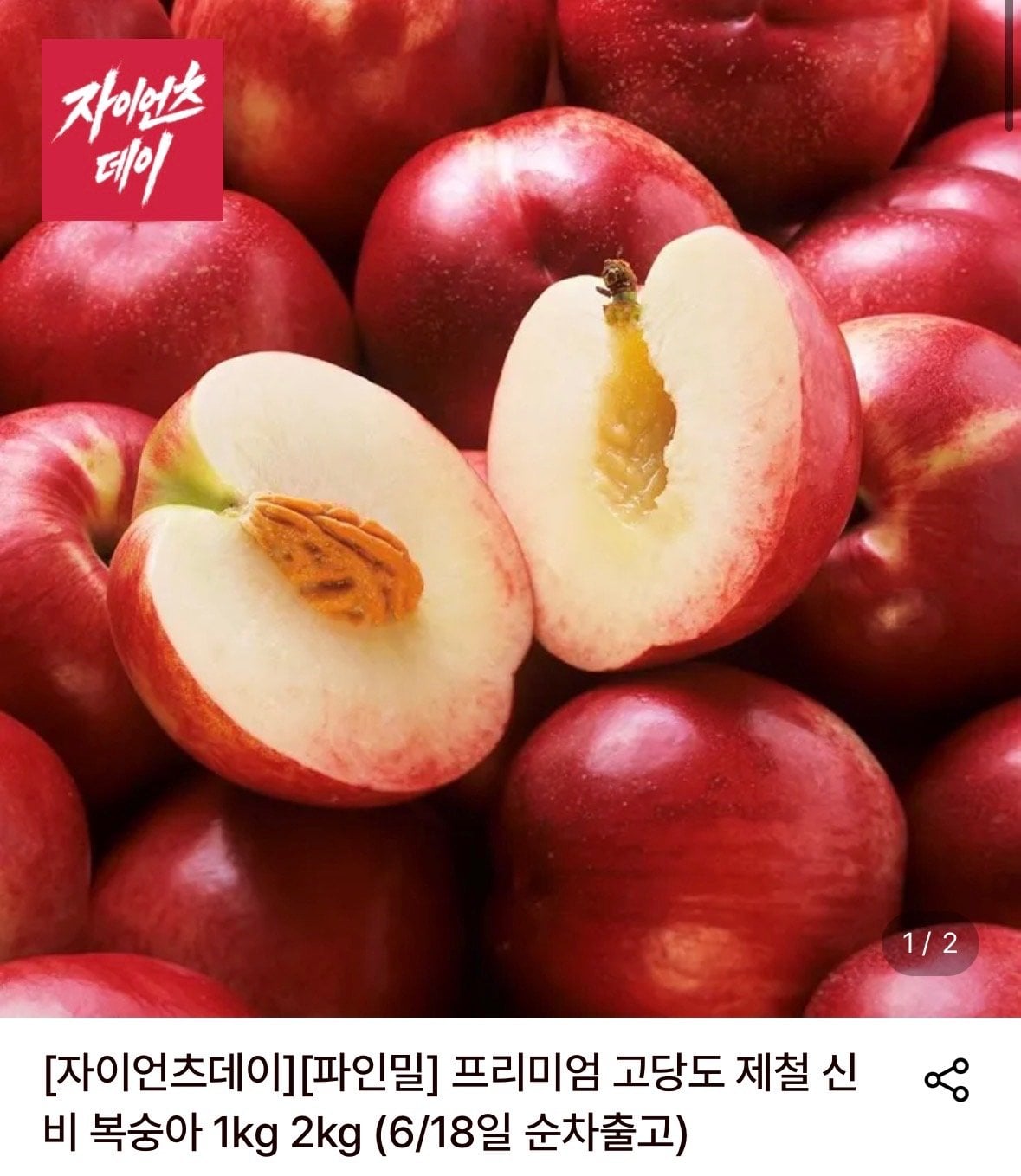 1012.jpg [롯데온] 고당도 제철 신비 복숭아 2kg 28-32과 (11,330원) (무료)