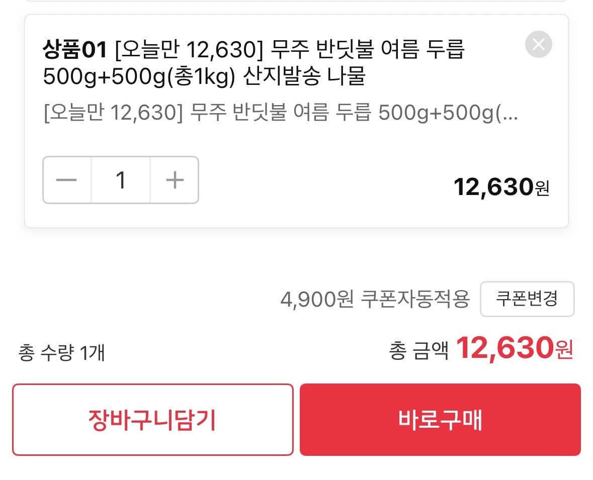 ing02.jpg [11번가] 무주 반딧불 여름 두릅 500g+500g 총1kg (12,630원) (무료)