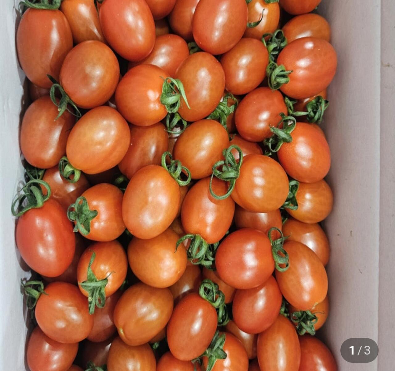 1000009697.jpg [네이버] 대추방울토마토 5kg (12,800원) (무료)