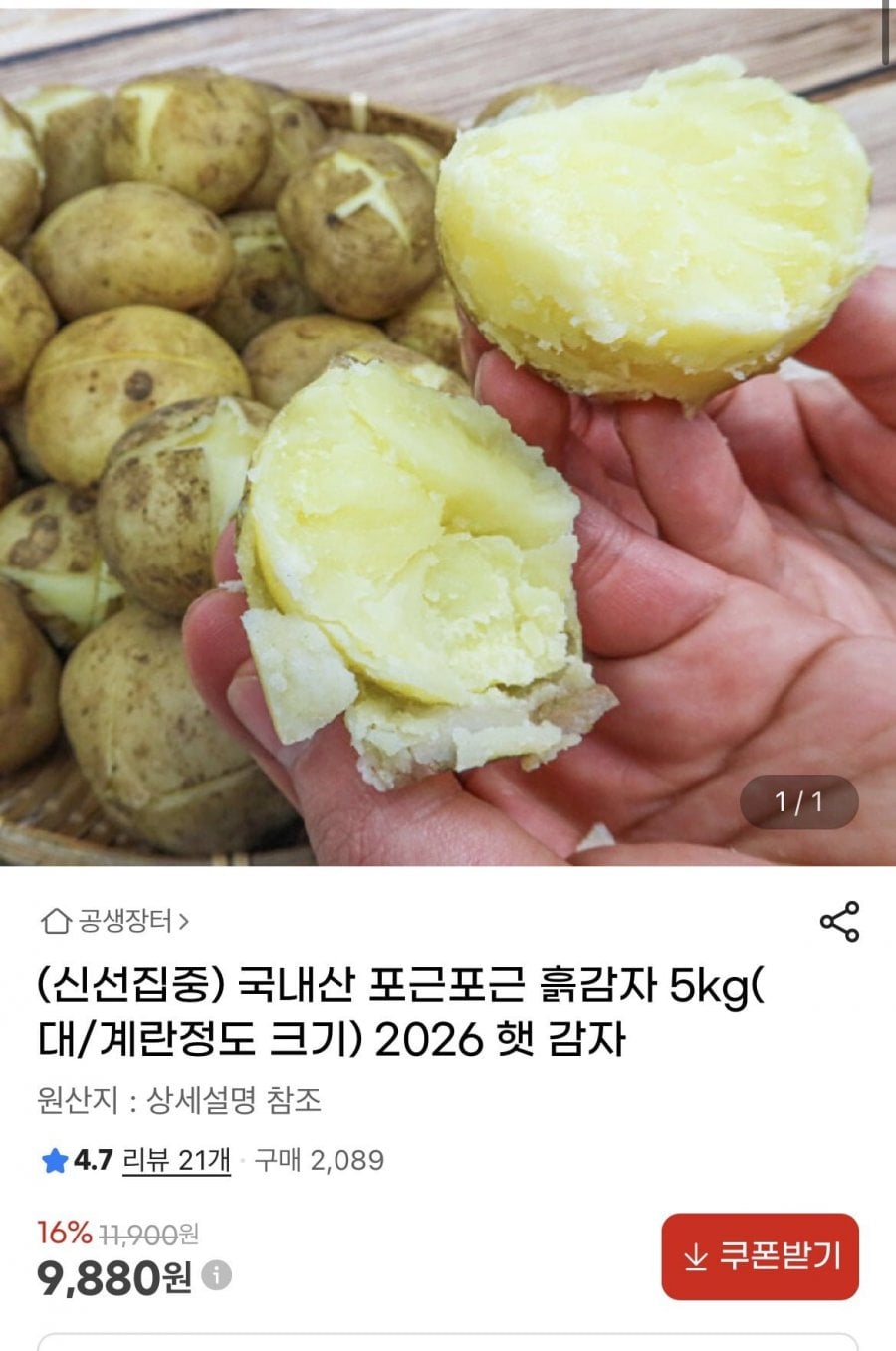 20260610001123_yBdjrXo2uZ.png