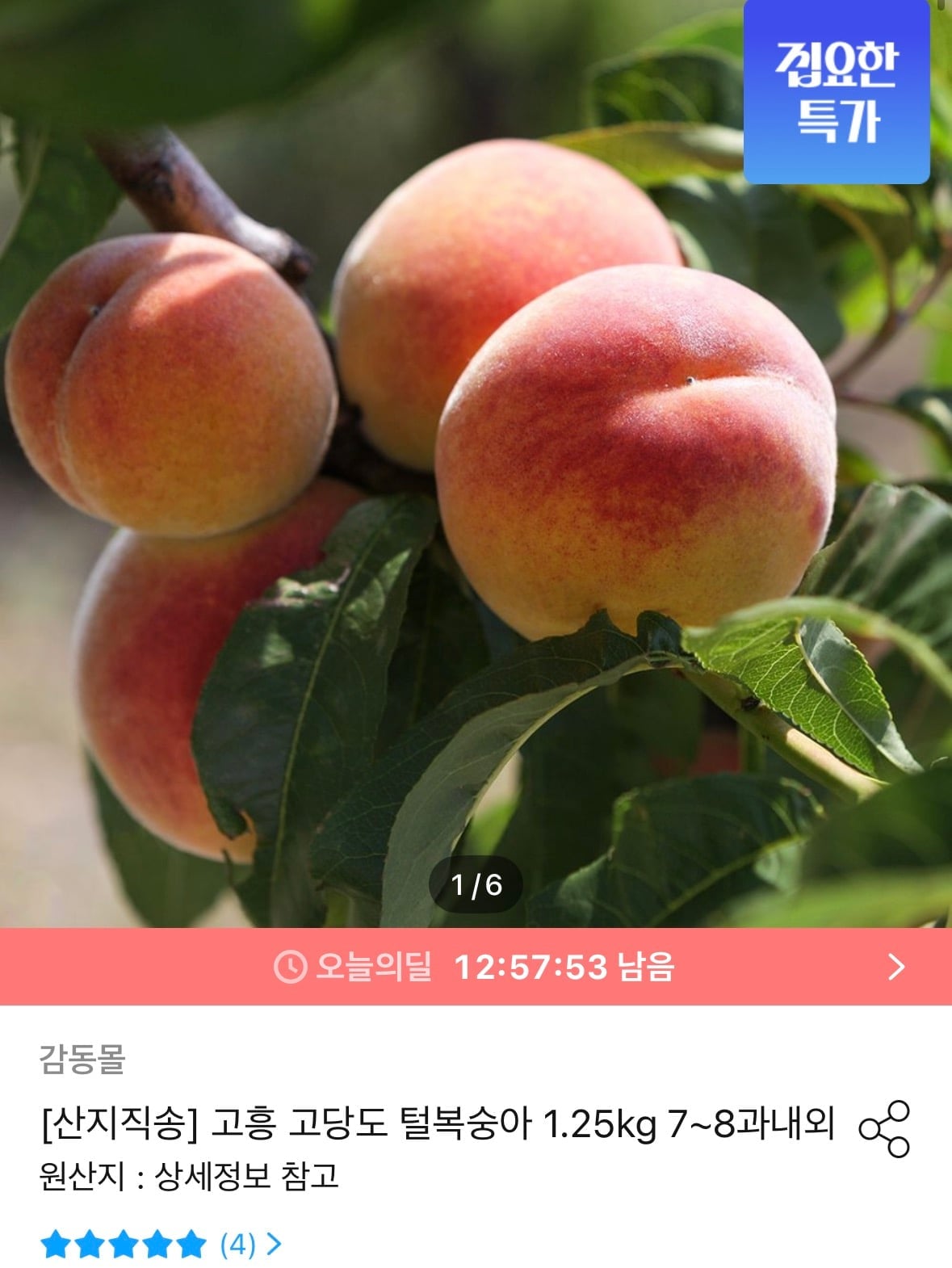 KakaoTalk_20260610_110234295.jpg