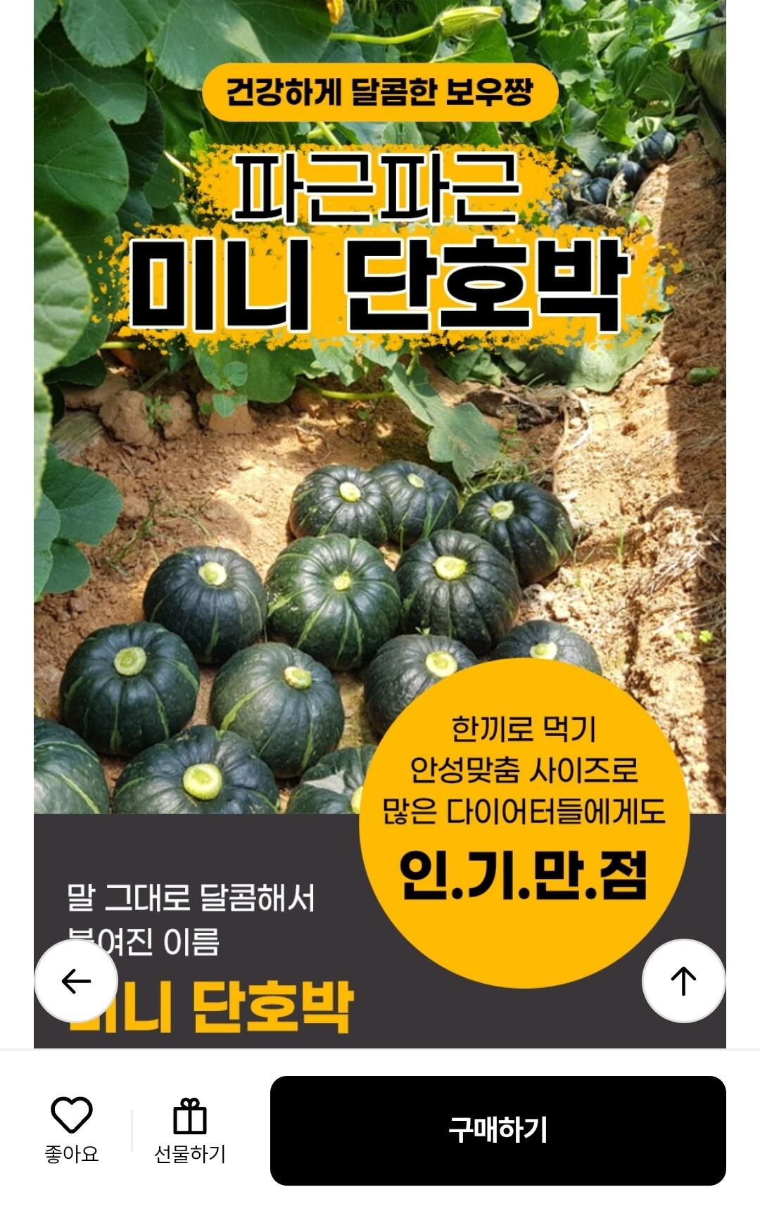 1000006841.jpg [롯데온] 26년 제주 미니단호박 보우짱 3kg 브러쉬세척 (10,950원) (무료)