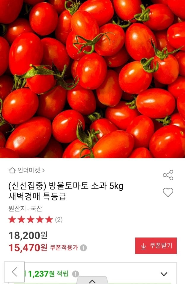 [옥션] 방울토마토 소과 5kg 특등급 (15,470원) (무료)