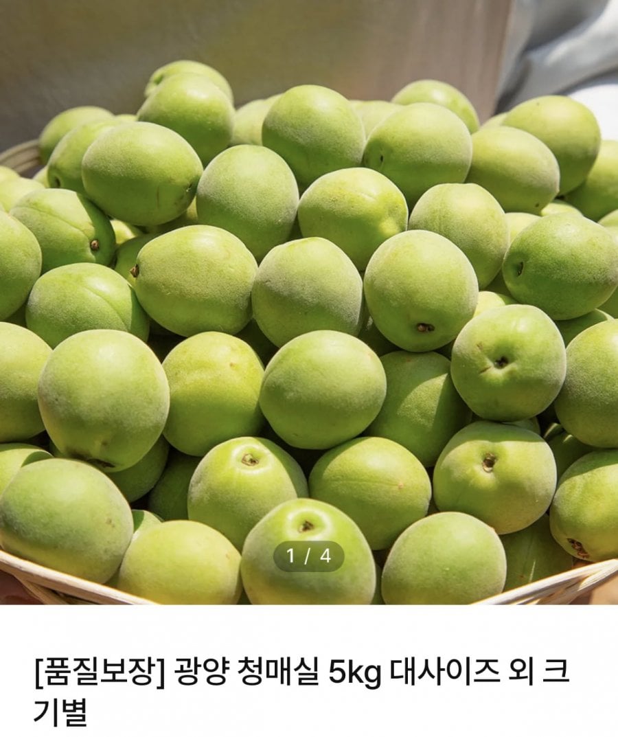 20260611002010_a9syr4svP4.png