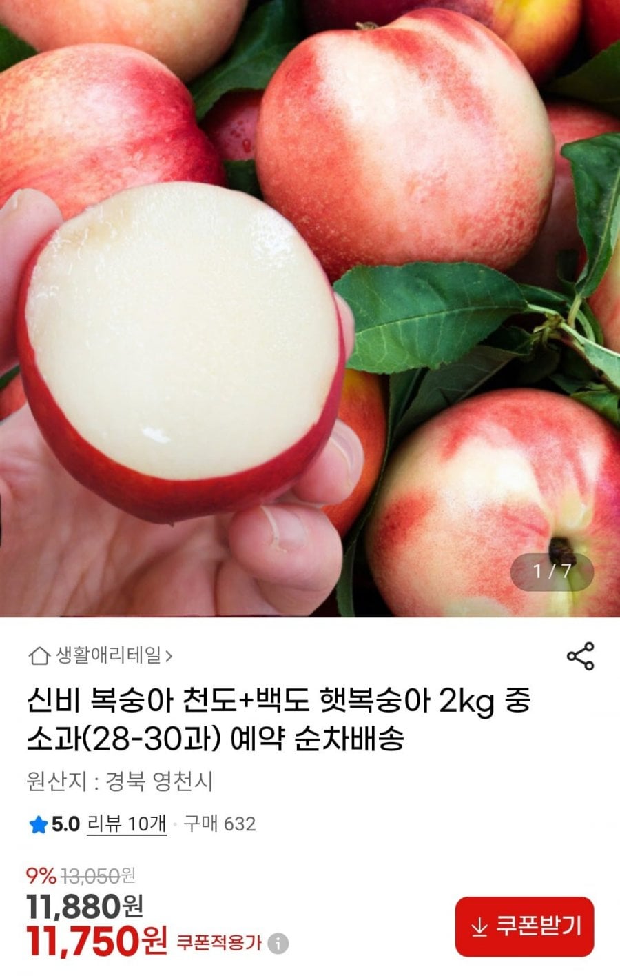 20260612091820_jbKNH4qwOs.jpg