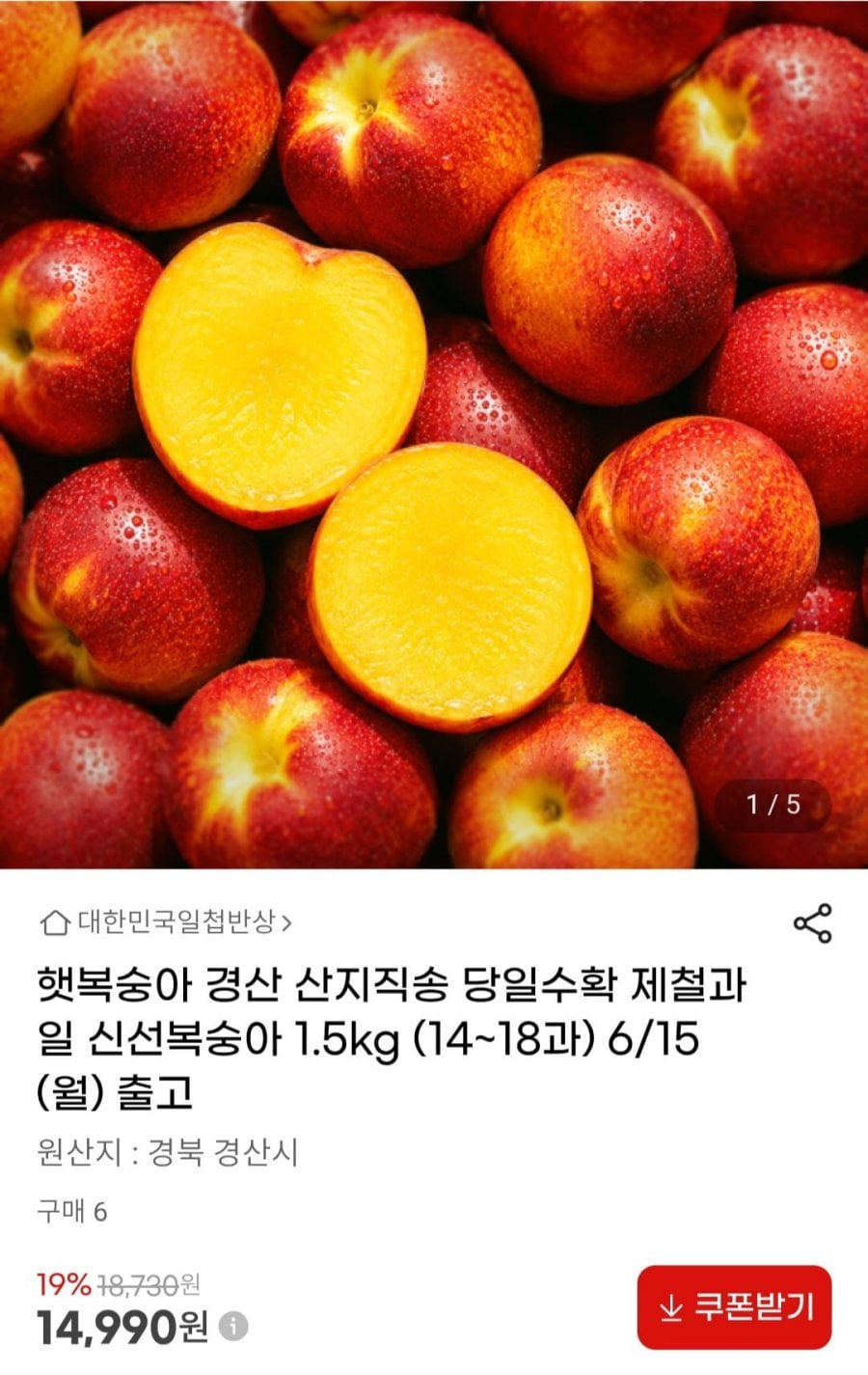 20260612002537_E1yqUZtdFE.jpg