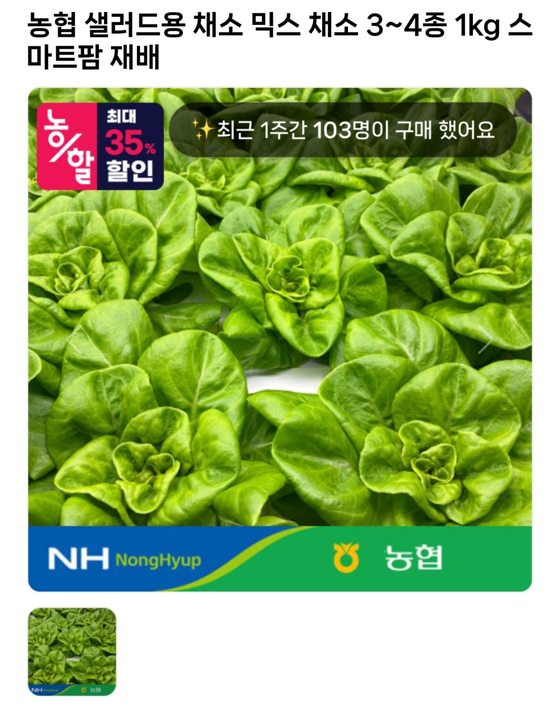 IMG_9019.jpeg [온누리마켓] 농협 샐러드용 채소 믹스 1kg (4,680원) (무료)