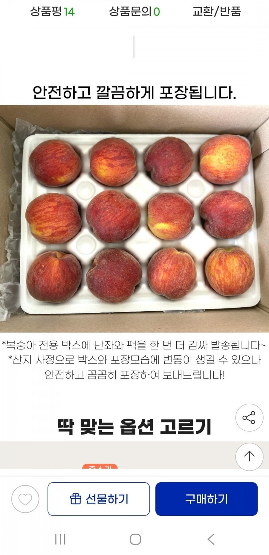 20260614095534_Sh8Ej1JBtl.jpg