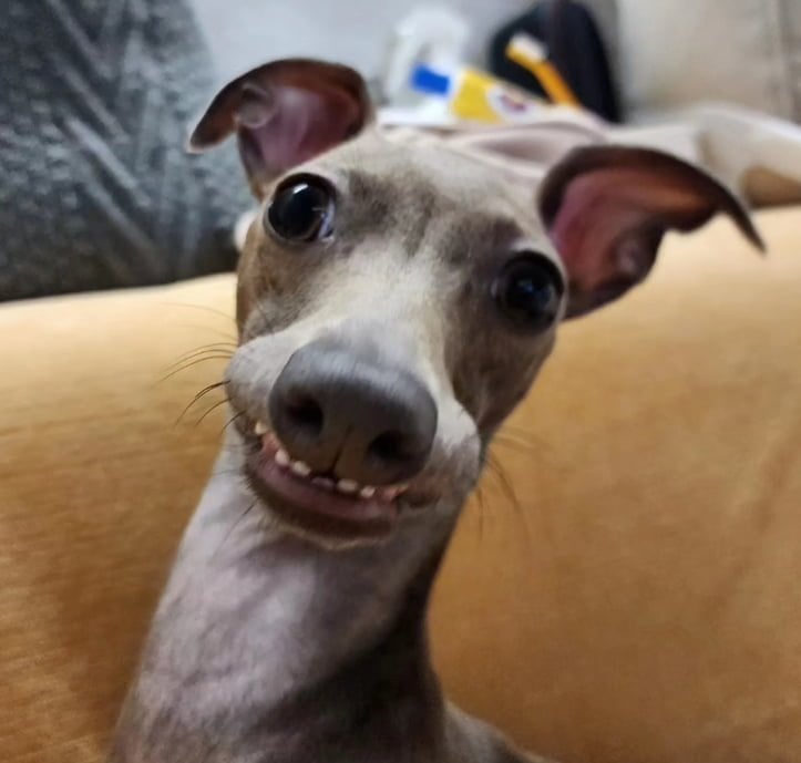 20260615162533_aVga8G32RF.png