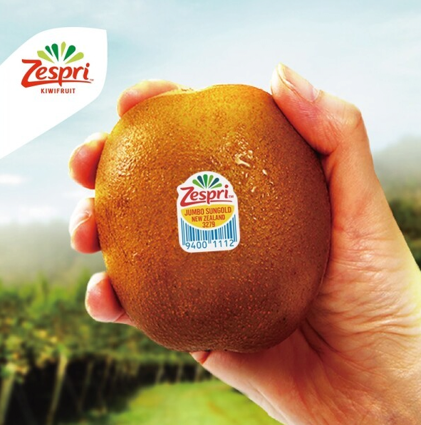 1.png [GMarket] Zespri Sun Gold Kiwi Khổng lồ Kích thước Tổng cộng 3,2kg (khoảng 150g mỗi 21 miếng) (21.980 KRW) (Miễn phí)
