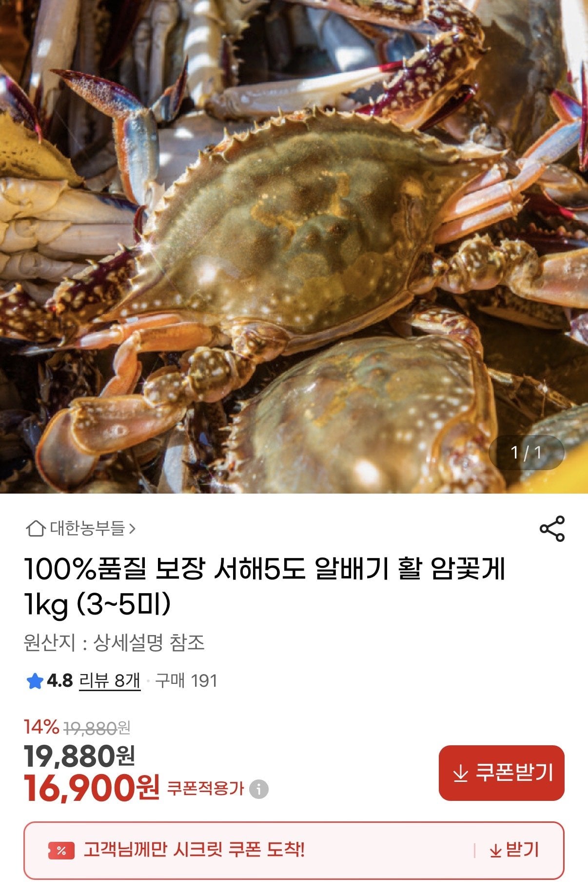 IMG_2336.jpeg