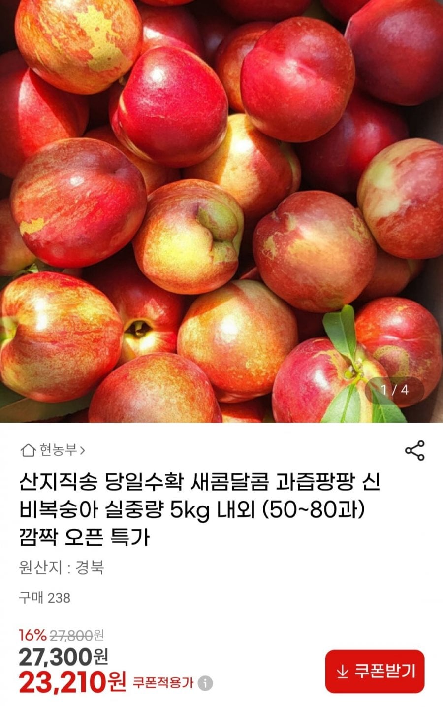 20260616110322_qBbPLkZBEu.jpg
