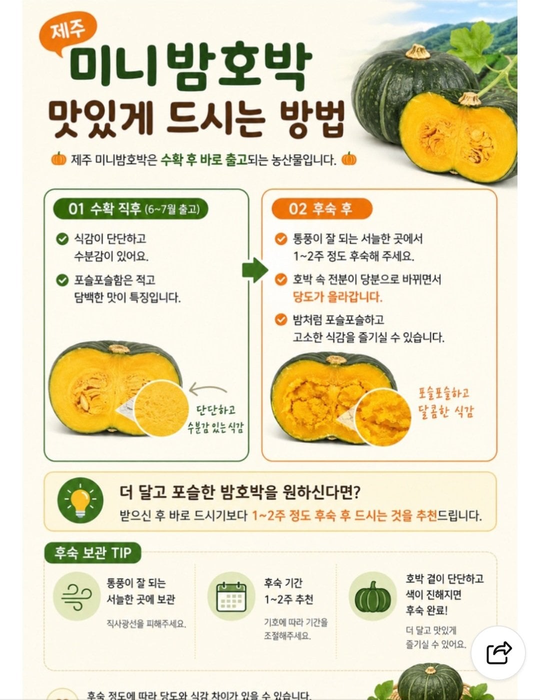 Screenshot_20260617_412952_NAVER.jpg [네이버] 제주도 미니 단호박 2kg (7,900원) (무료)