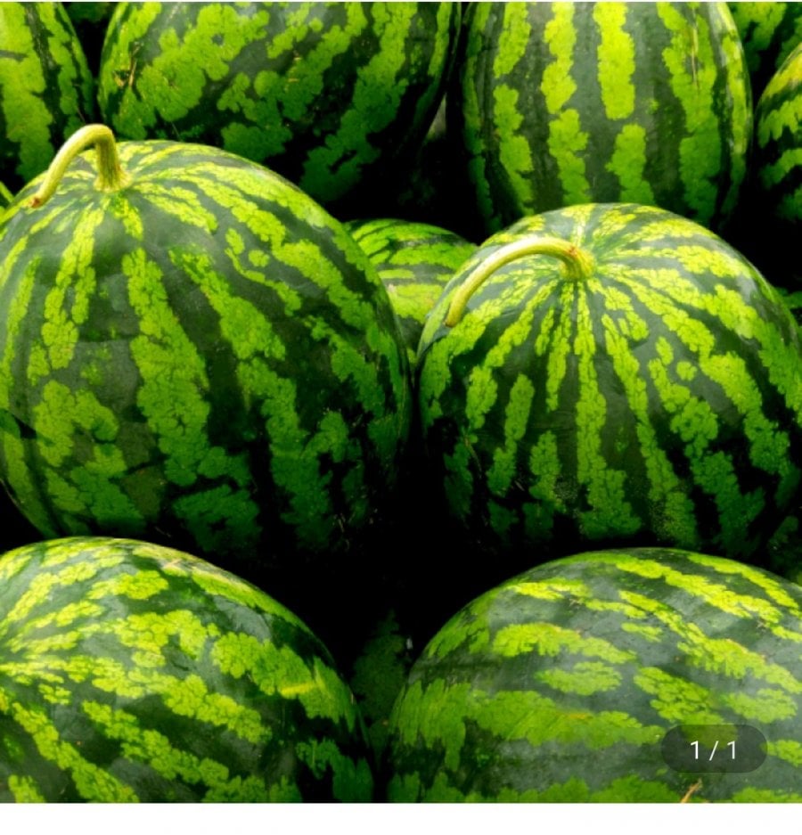 20260617193155_GpomI3ehUE.jpg