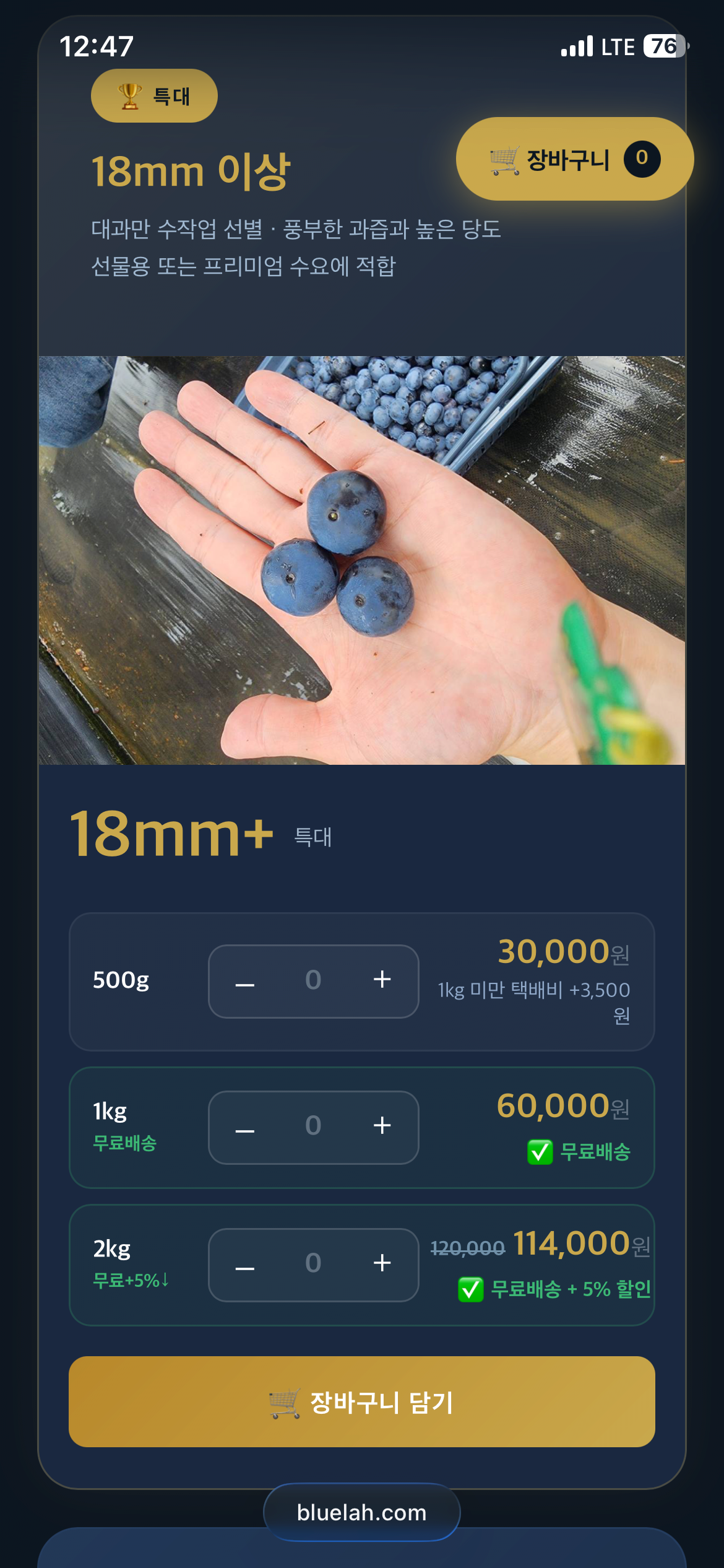 [Rahmani Blueberry] Quả việt quất cực lớn 500g được chứng nhận GAP, miễn phí vận chuyển cho 1kg trở lên. (30.000 won) (3.500) won)