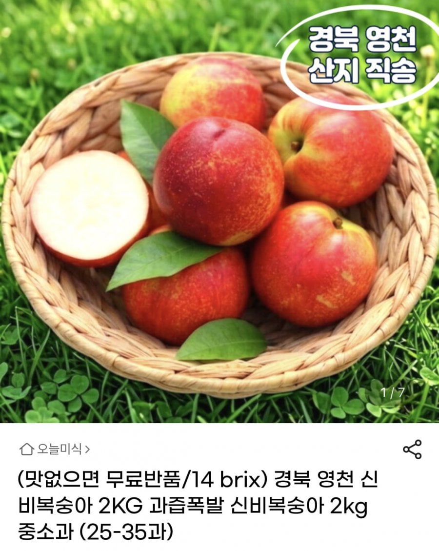 20260617081159_iREQee9kWs.png