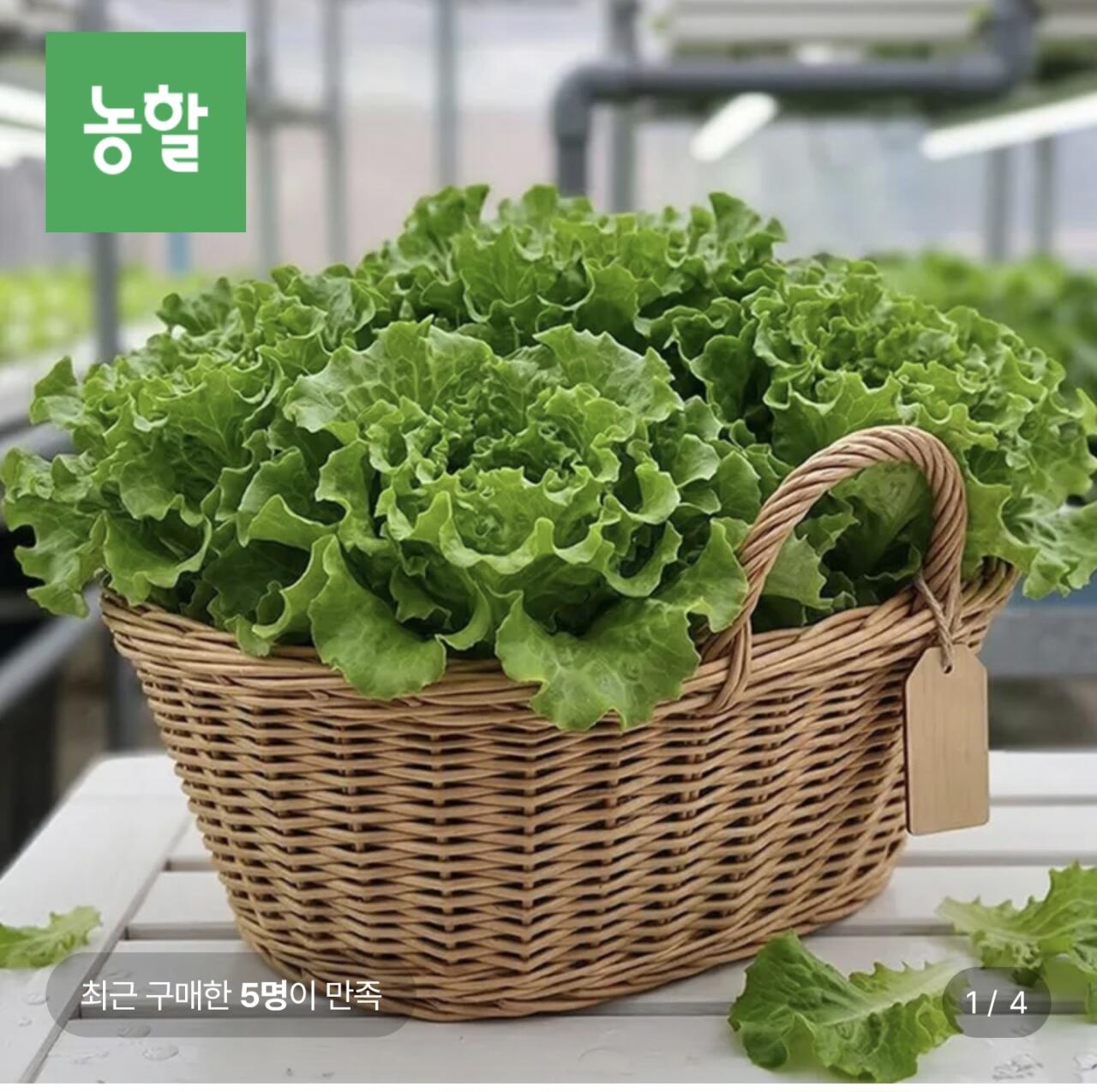 1000010024.jpg [롯데온] 샐러드 모듬채소 1kg (5,430원) (무료)