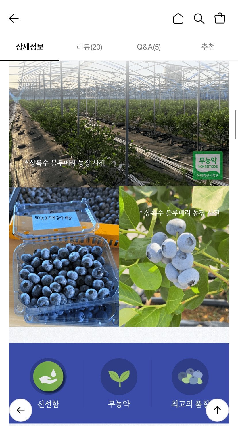 1782021501951.jpg [롯데온] 무농약 국내산 생 블루베리 1kg (27,780원) (무료)