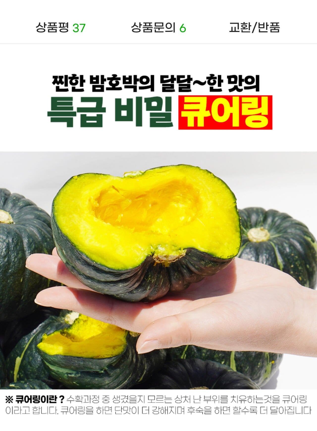 1782006136297.jpg [G마켓] 제주 보우짱 밤호박 로얄 5kg (13,940원) (무료)