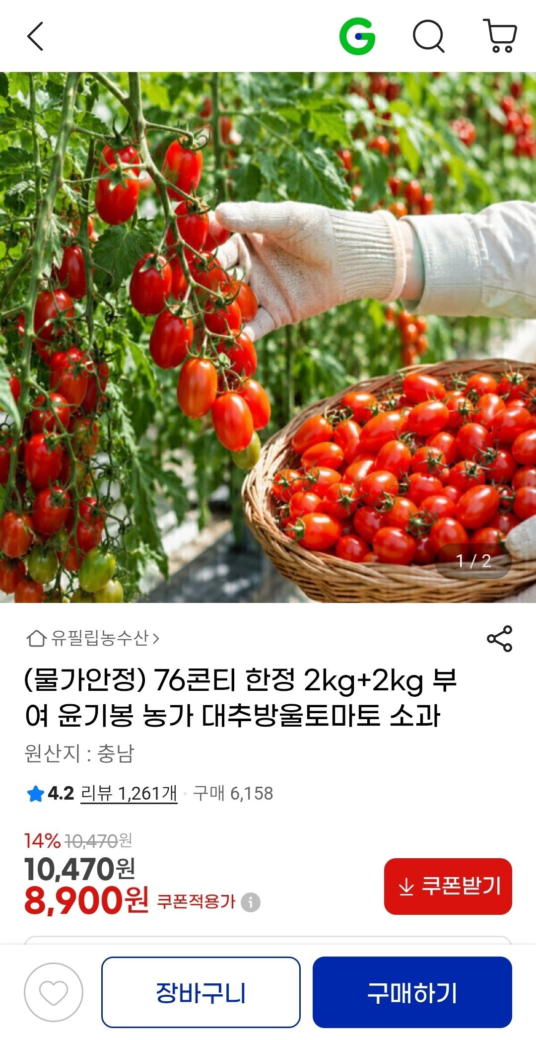 1000013669.jpg [지마켓] 2kg+2kg 대추방울토마토 소과 (8,900원) (무료)