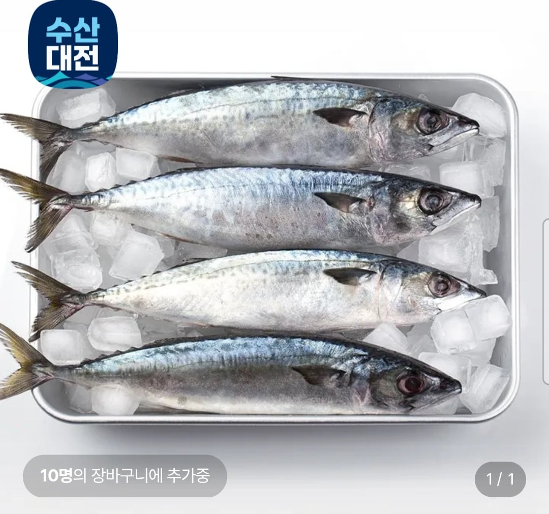 퀘이사존