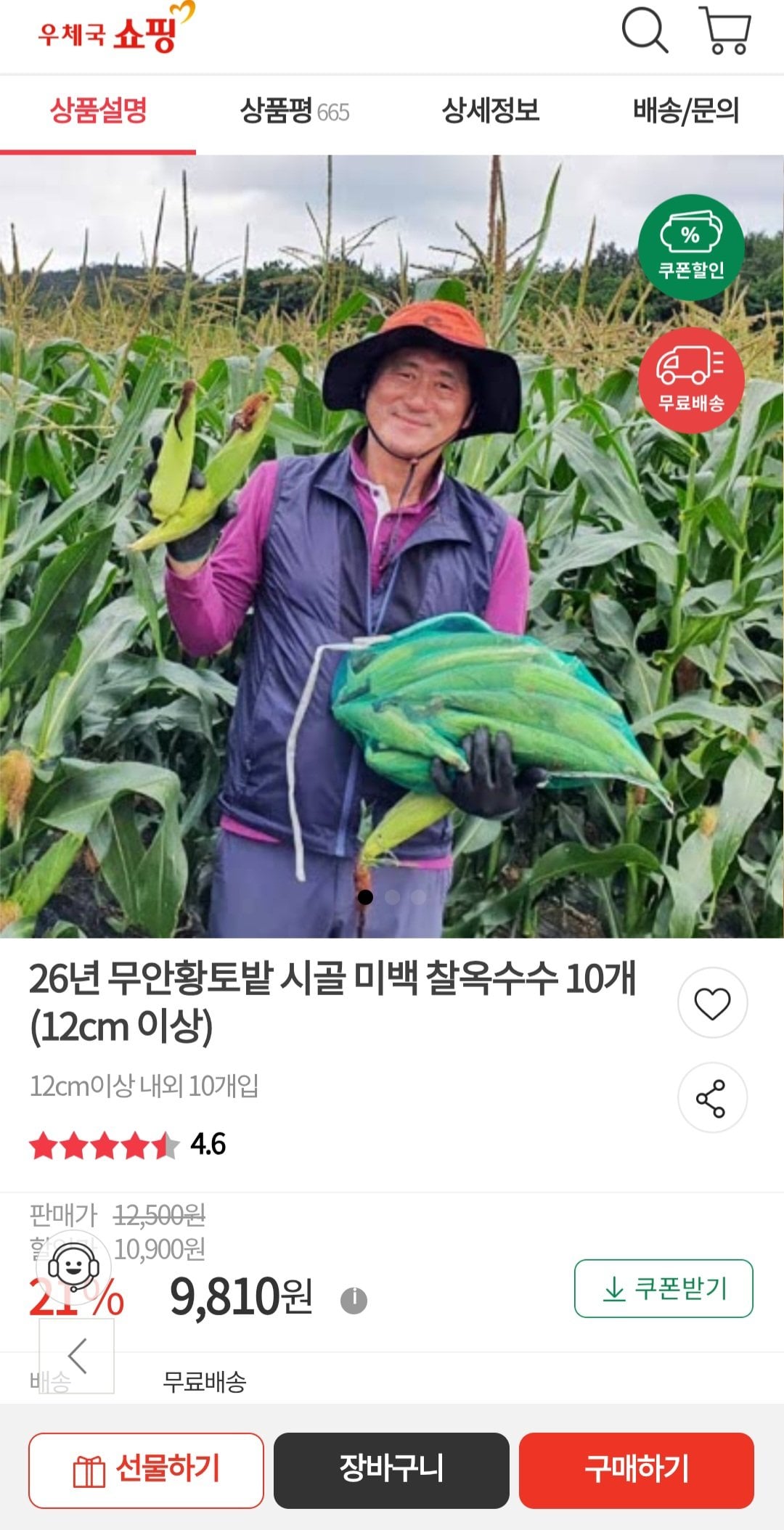 [우체국쇼핑] 26년 무안황토밭 시골 미백 찰옥수수 10개 (12cm 이상) (9,810원) (무료)
