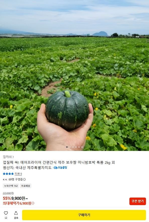1-131.JPG [Kakao] Trái cây hoàng gia đặc biệt bí ngô hạt dẻ nhỏ Jeju Bowjjang 2kg (KRW) 6.900) (Miễn phí)