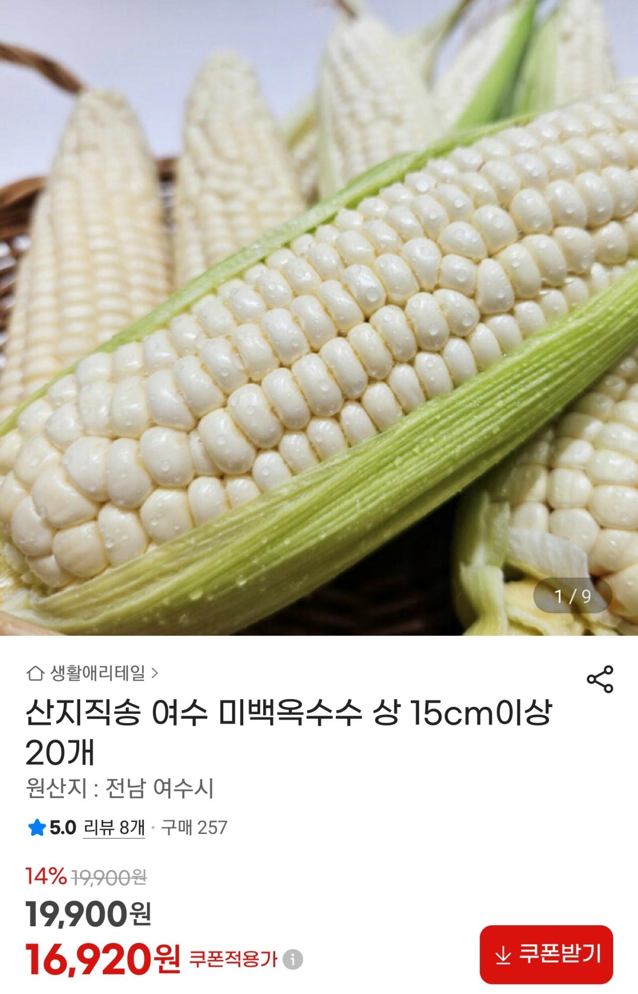 Screenshot_20260623-102501_G.jpg [지마켓] 산지직송 여수 미백옥수수 15cm 20개 (16,920원) (무료)