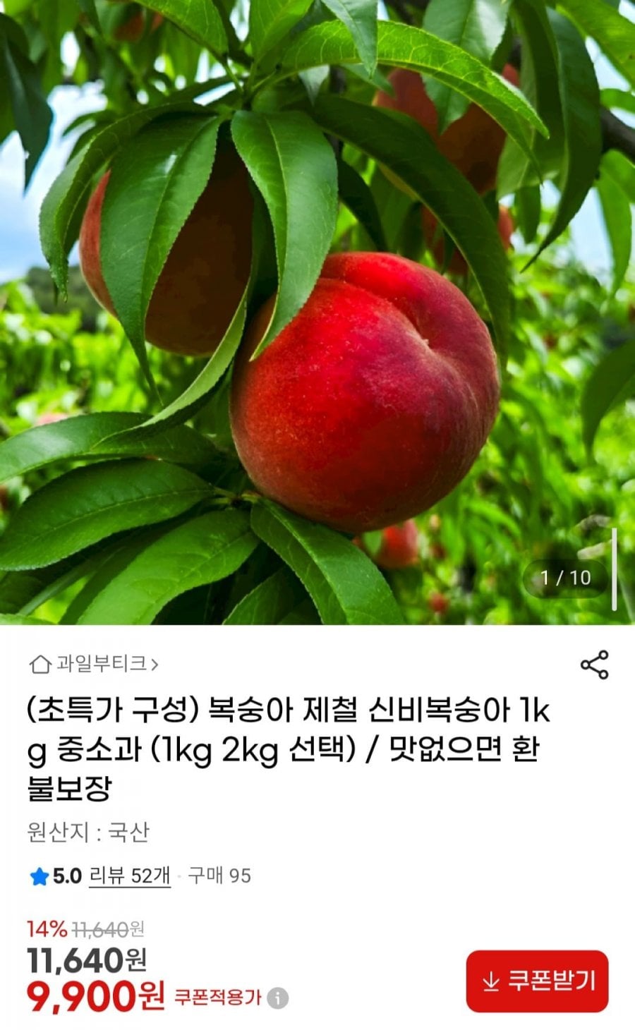 20260623131751_Sb2OtozHCg.jpg