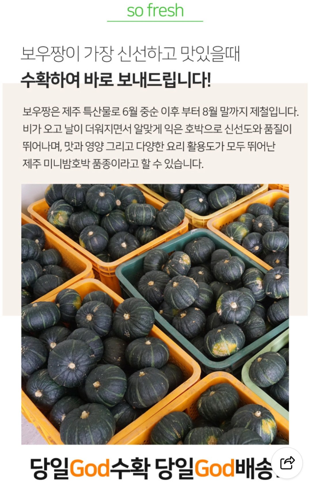 Screenshot_20260624_006243_NAVER.jpg [Naver] Hạt dẻ bí ngô ngọt ngào nhỏ Pumpkin Bowjjang Đảo Jeju 2kg (7.800 Won) (Giao hàng miễn phí)
