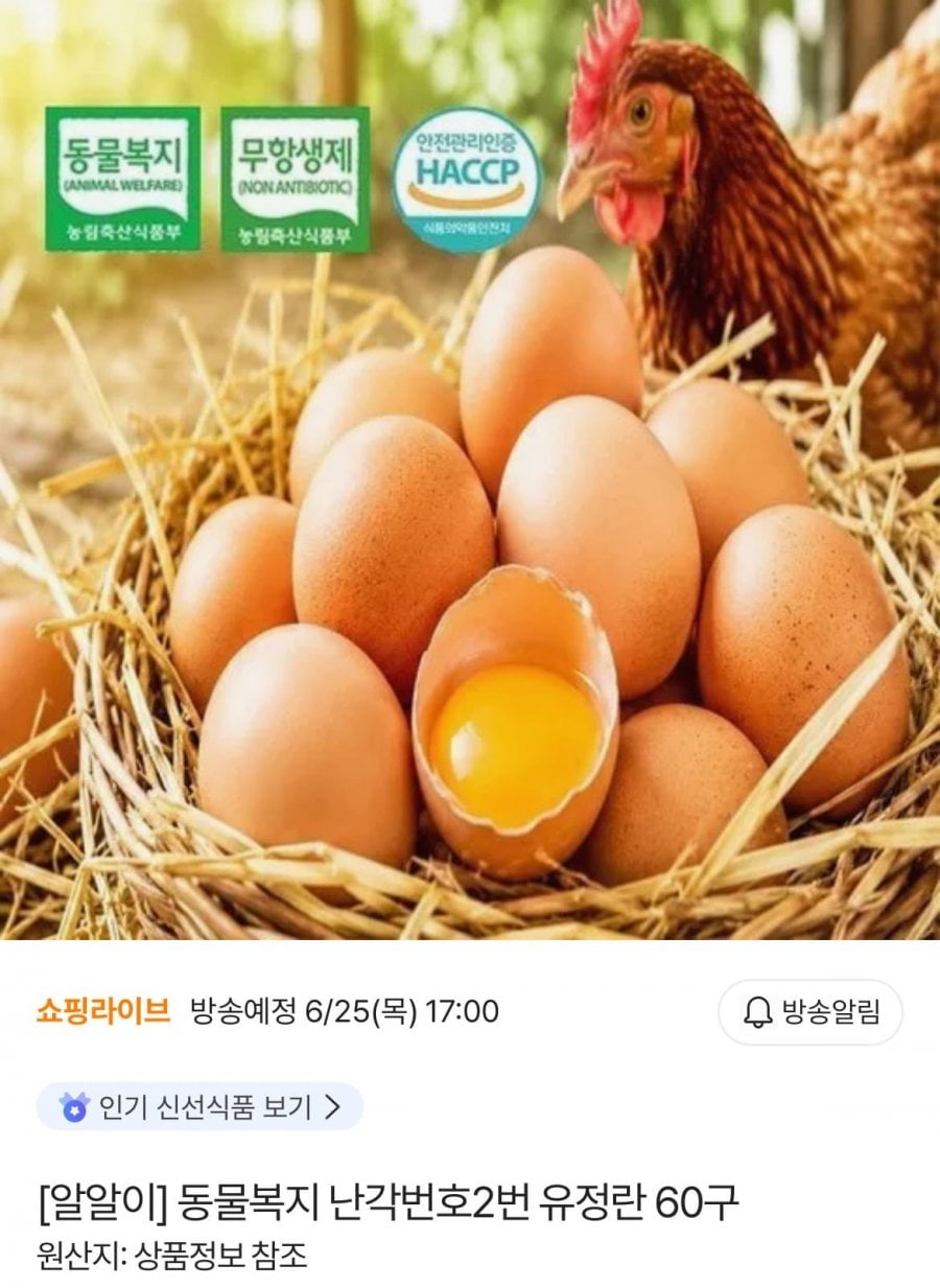 20260625002824_T1DzS1Zpju.png