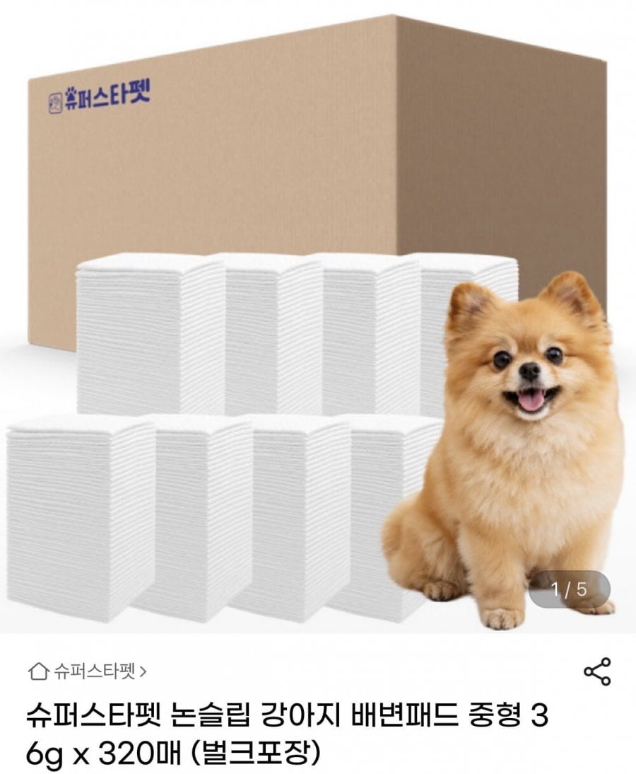 20260629112800_K5MoyPkSjj.jpeg