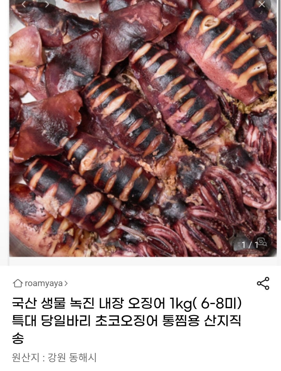 Screenshot_20260629_125235_Chrome.jpg [지마켓] 국산 생물 녹진 내장 오징어 (12,790원) (무료)