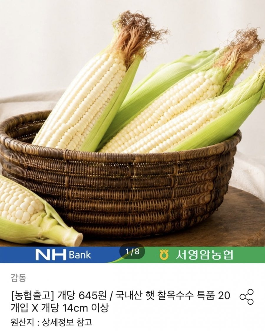 20260630165232_WIk0JisR4t.png