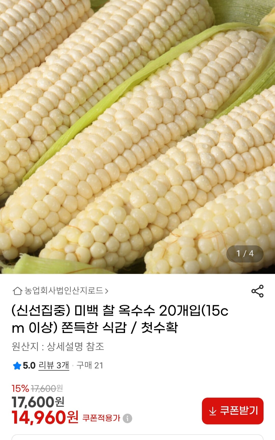 퀘이사존