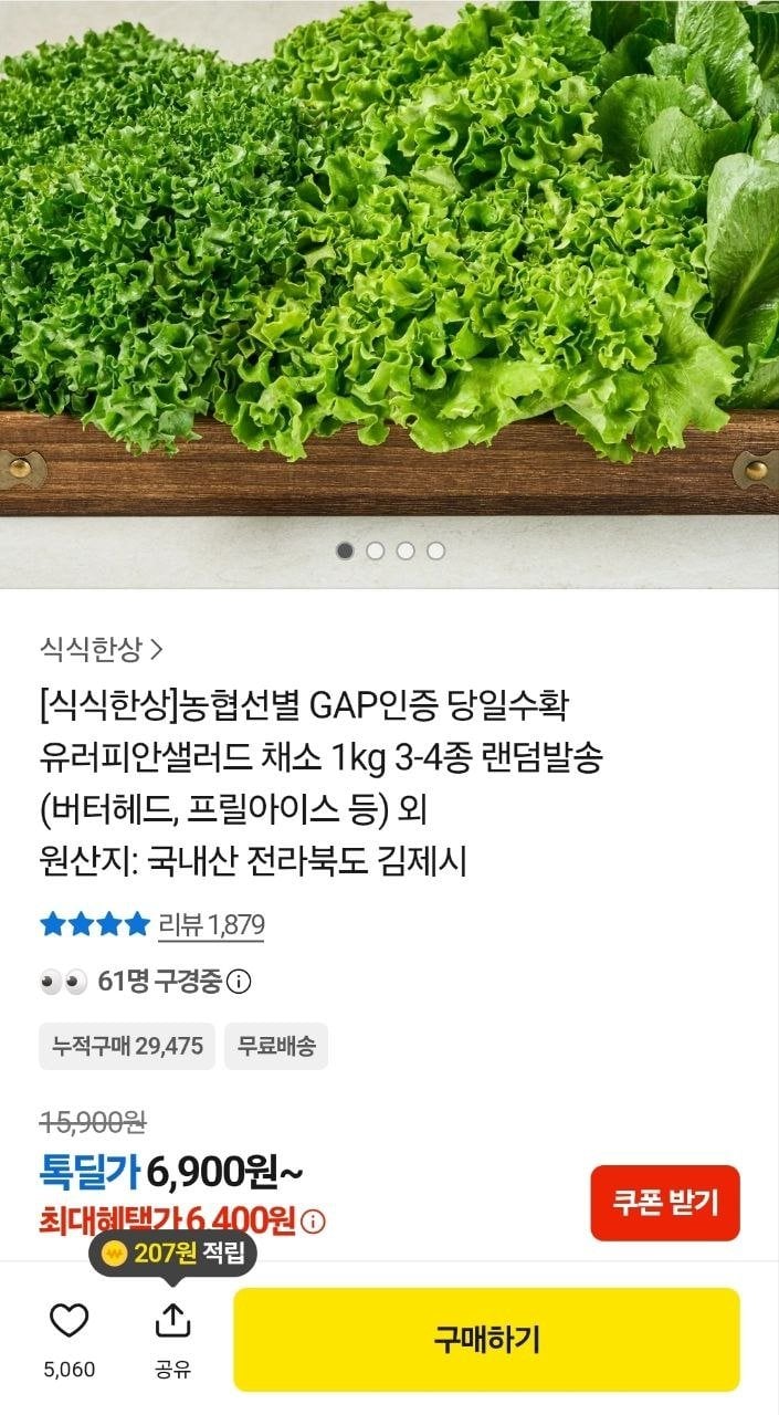 1000019674.jpg [카카오] 유러피안샐러드 채소 1kg 3-4종 (6,400원) (무료)