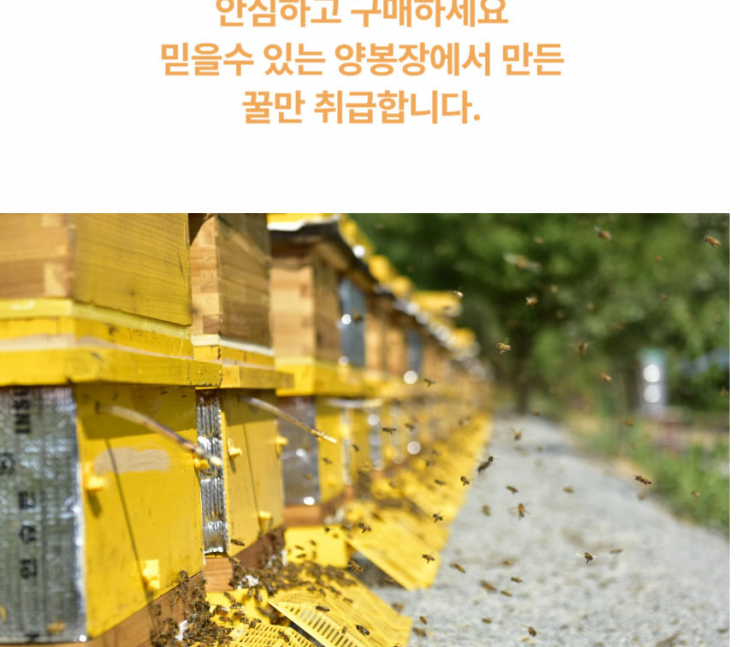 퀘이사존