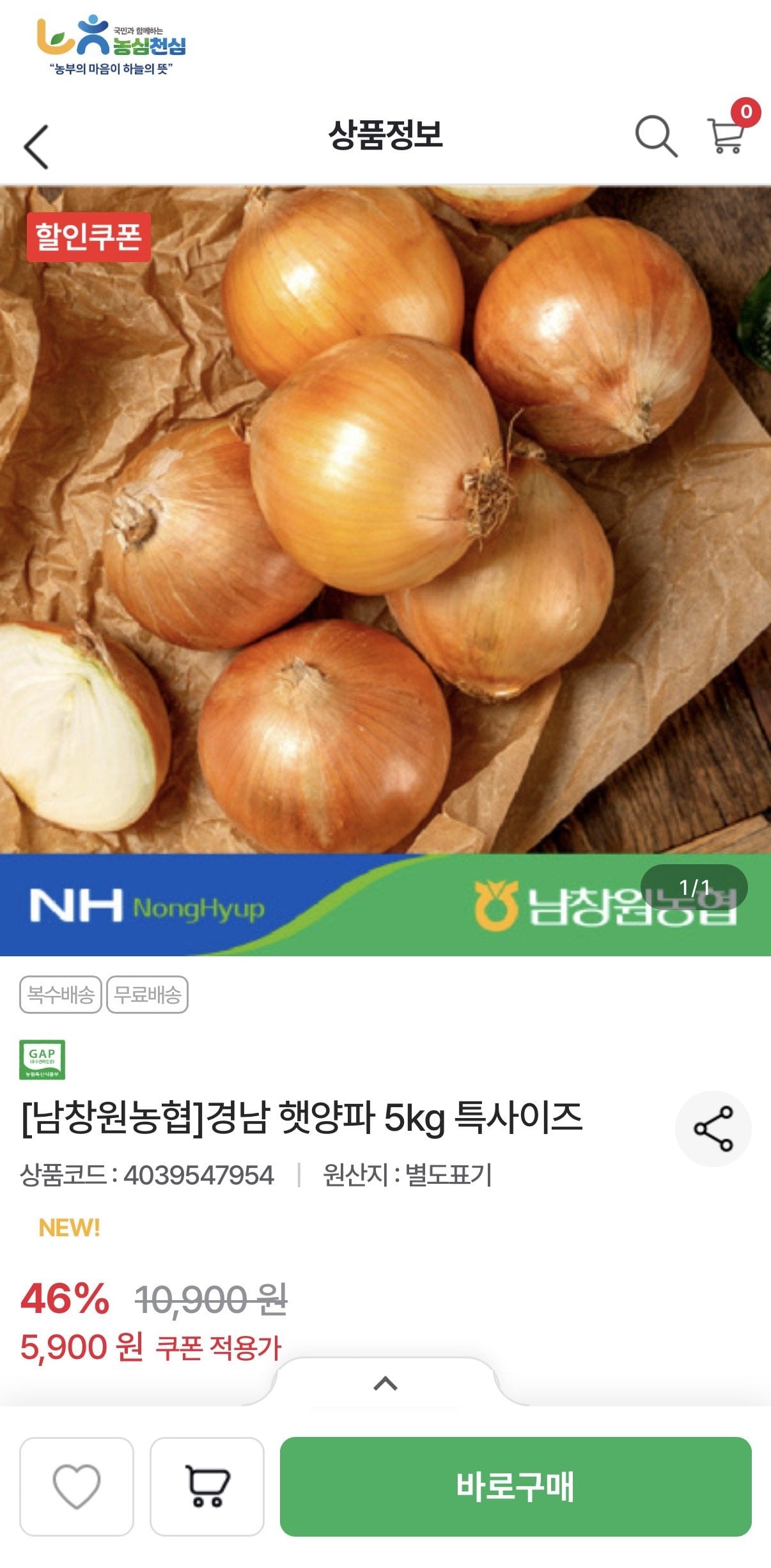 [농협몰] 경남 햇양파 5kg 특사이즈 (5,900원) (무료)