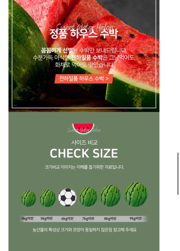 image.png [우체국쇼핑] 국내산 하우스수박 5-6kg (11,920원) (무배)