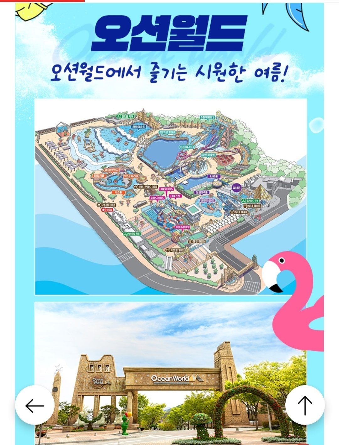 Screenshot_20260703-153349.jpg [롯데온] 홍천 비발디파크 오션월드 이용권 (35,720원) (무료)