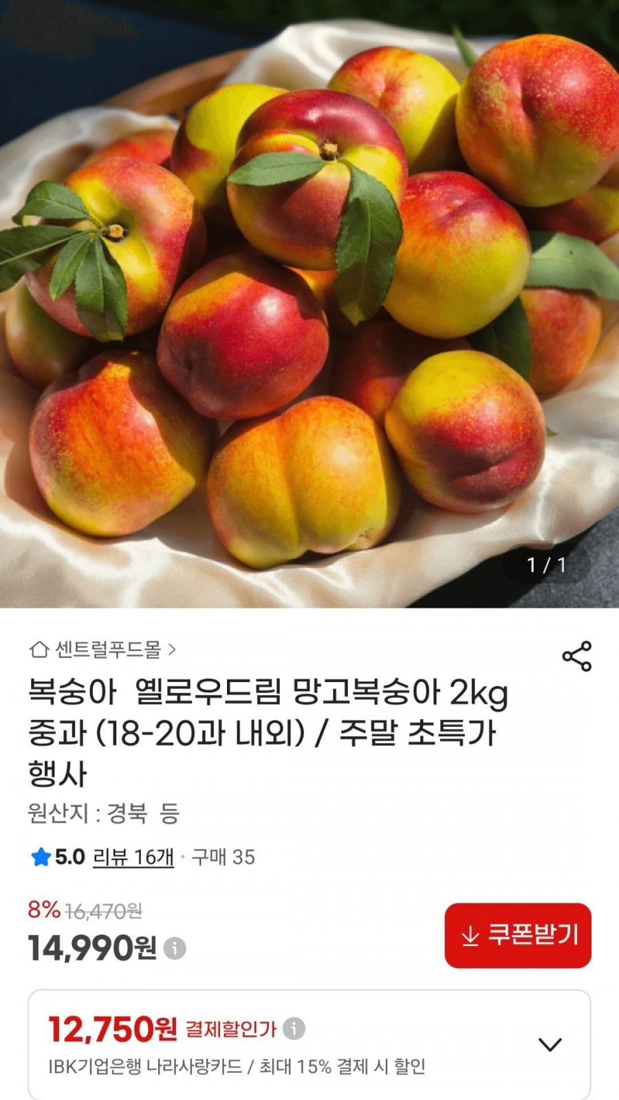 20260705165118_O3hKt0SNxA.jpg
