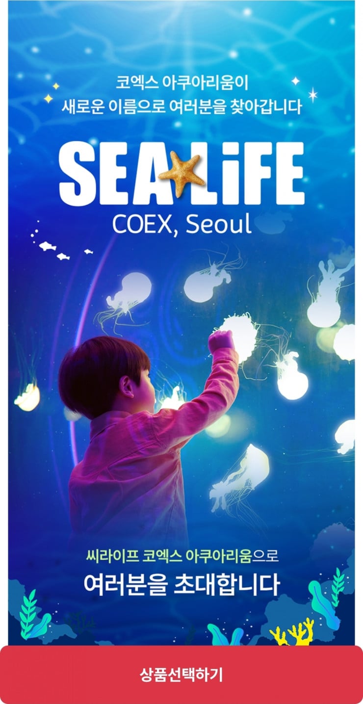 퀘이사존
