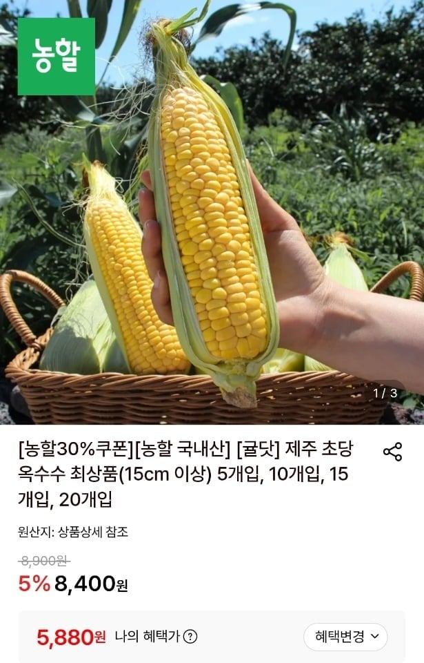 20260707101420_jbH0aKvCvt.jpeg