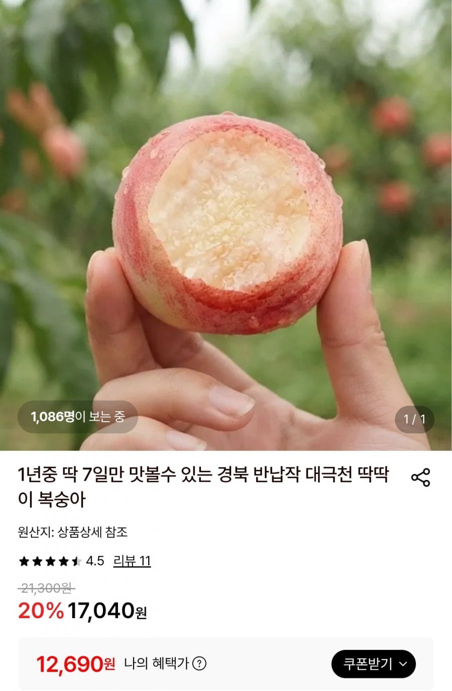 20260707003243_qoQUL7aGnD.jpg