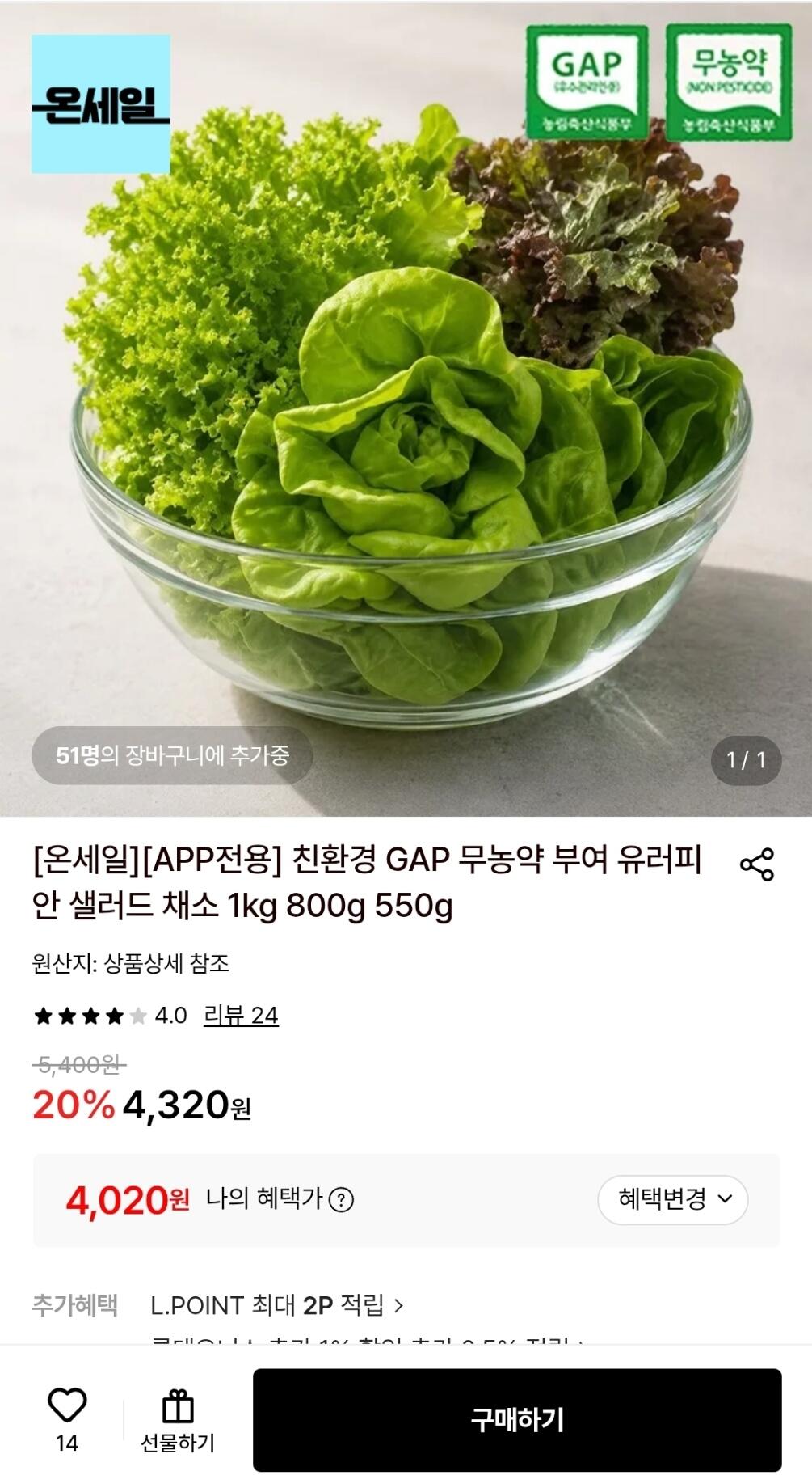 12-34.jpg [롯데온] 친환경 GAP 무농약 부여 유러피안 샐러드 채소 1kg 800g 550g (4,020원) (무료)
