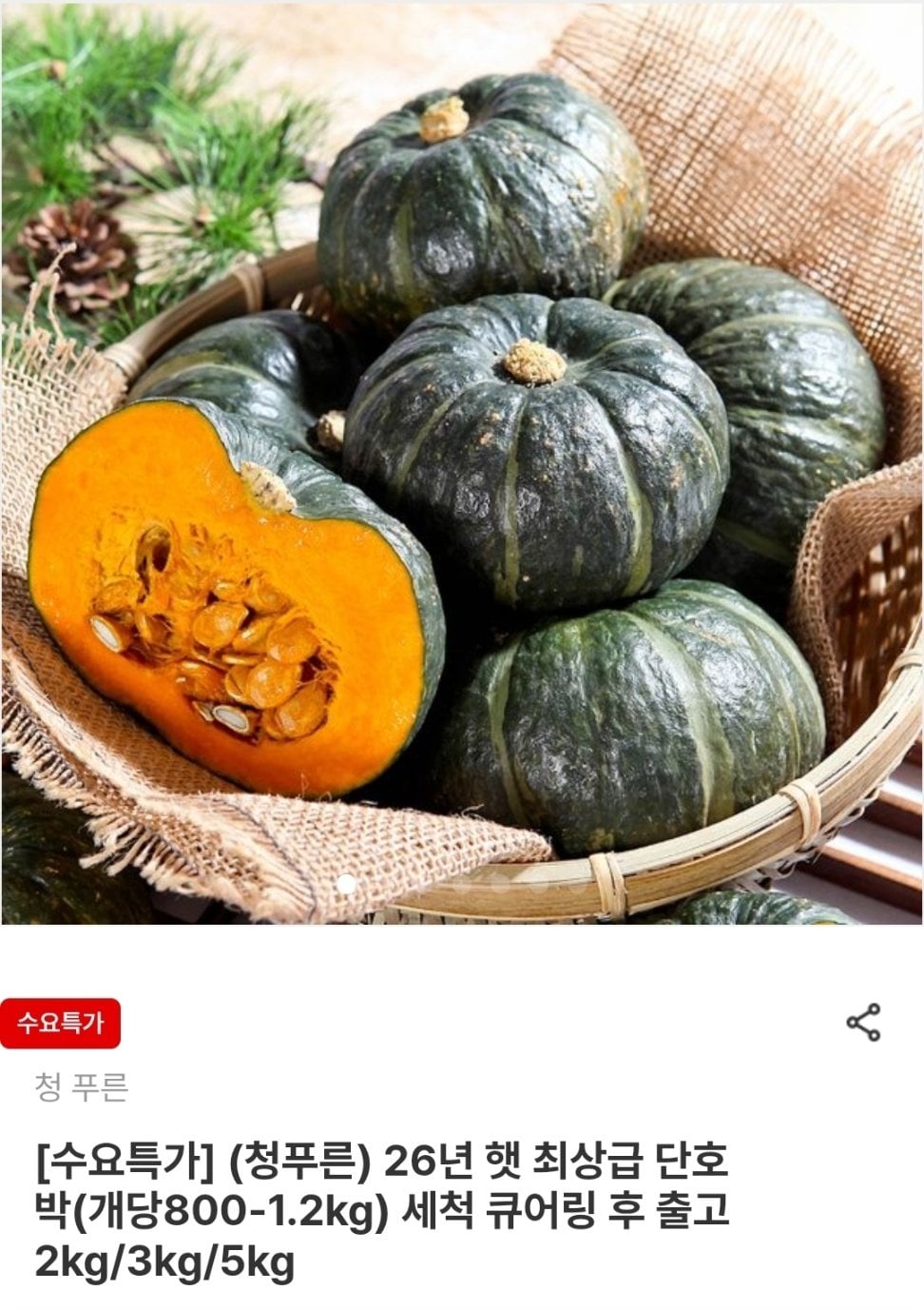 1000003303.jpg [영암몰] 청푸른 26년 햇 단호박 2kg 2개입 (6,560원) (무료)